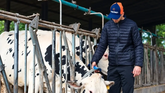 Taxa de prenhez chega a 32% em fazenda leiteira após adoção de monitoramento inteligente