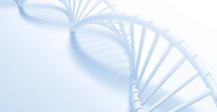 As bases bioquímicas da genômica