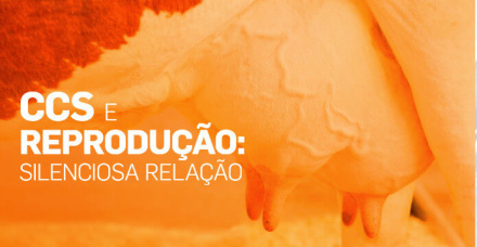 CCS E REPRODUÇÃO: SILENCIOSA RELAÇÃO