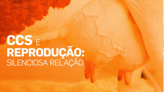 CCS E REPRODUÇÃO: SILENCIOSA RELAÇÃO