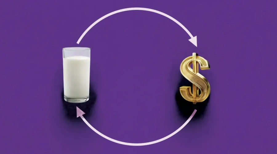 Relação de troca e poder de compra: qual o cenário esperado para 2025?