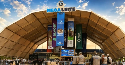 Megaleite: o ponto de encontro da pecuária leiteira