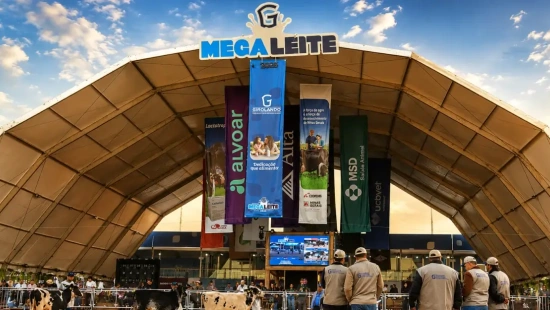 Megaleite: o ponto de encontro da pecuária leiteira