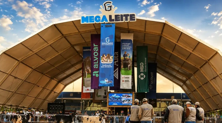 Megaleite: o ponto de encontro da pecuária leiteira