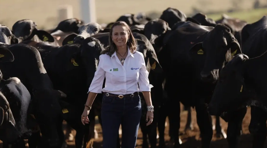 Entre raízes e horizontes: conheça a história da Agropecuária Palma (Luziânia/GO)