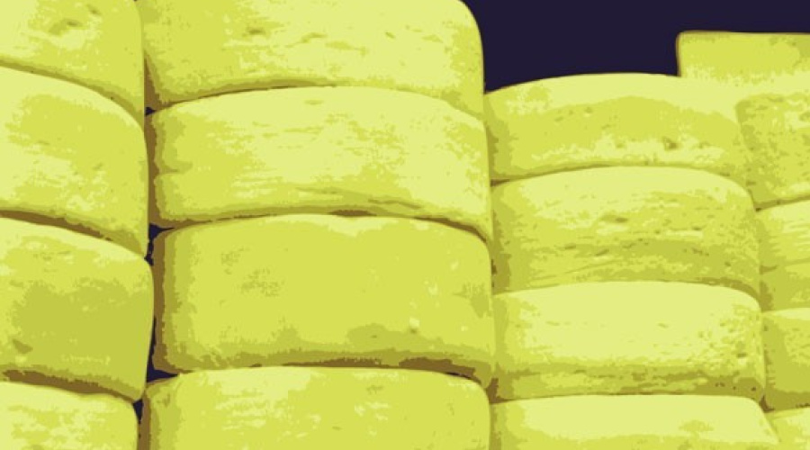 Produção de queijo: Qual a importância da qualidade do leite?