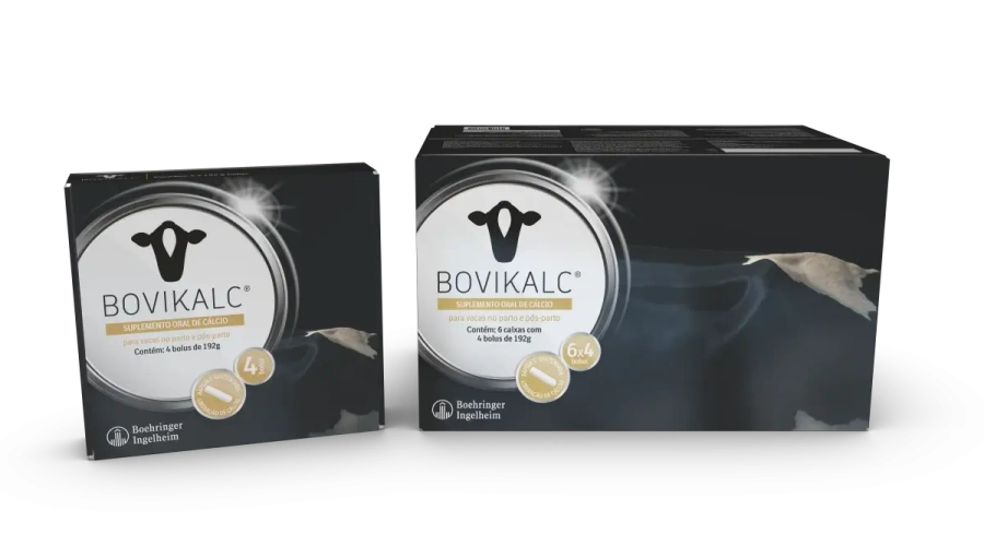 Boehringer Ingelheim lança suplemento de cálcio para combater hipocalcemia subclínica em bovinos leiteiros