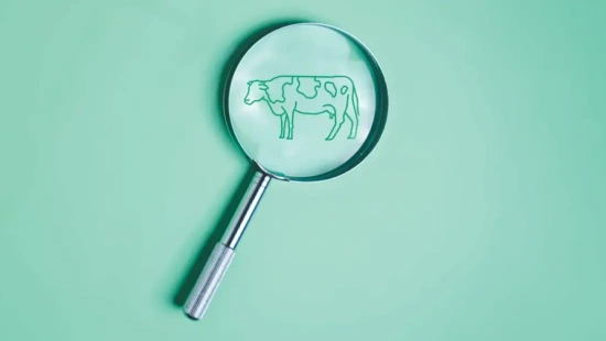 Uso criterioso de antibióticos no rebanho leiteiro