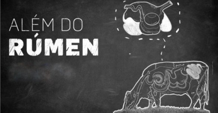 Além do Rúmen