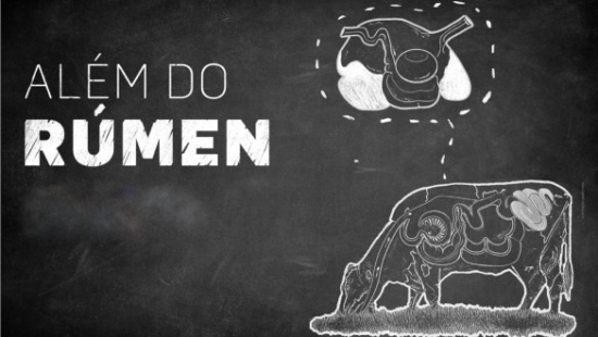 Além do Rúmen