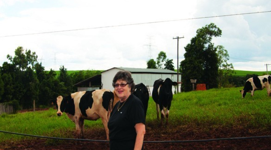 Fazenda Pinheiros