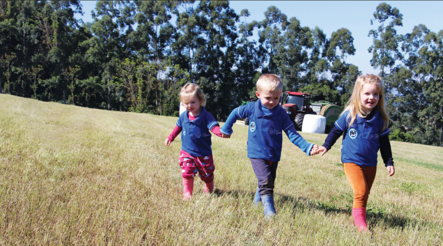 GRANJA STEIN: A INOVAÇÃO É O CAMINHO